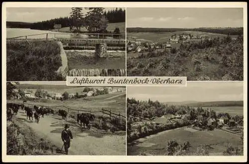Ansichtskarte Buntenbock Mehrbildkarte mit 4 Umland-Ansichten 1950