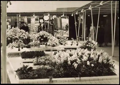 Ansichtskarte Erfurt IGA Halle der CSSR Ausstellung 1961