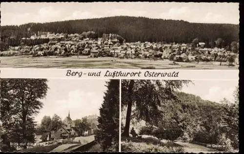 Ansichtskarte Osterwald Kr. Hameln 3 Bild Kirche, Osterwald, Totale 1961