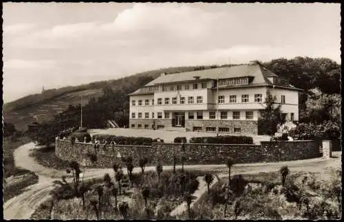 Ansichtskarte Rüdesheim (Rhein) Rhein Jugendherberge 1962