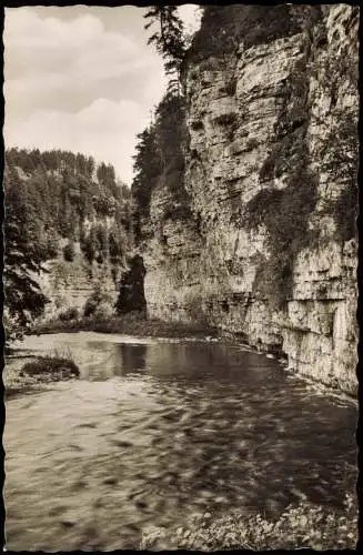 Ansichtskarte Titisee-Neustadt Wutachtal / Schwarzwald Wutachschlucht 1964