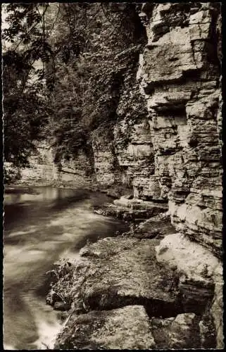 Ansichtskarte Titisee-Neustadt WUTACH-SCHLUCHT Schwarzwald 1964