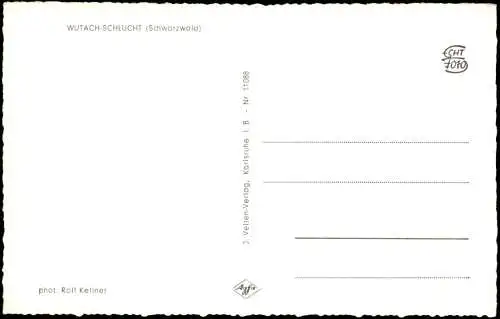 Ansichtskarte Titisee-Neustadt WUTACH-SCHLUCHT Schwarzwald 1964