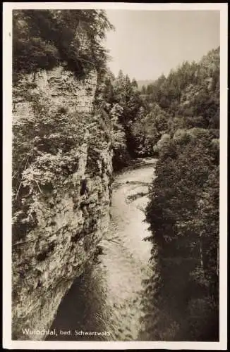 Ansichtskarte Titisee-Neustadt Wutachtal, bad. Schwarzwald 1963