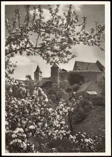 Ansichtskarte Harburg (Schwaben) Blick zum Schloss bei Baumblüte 1966