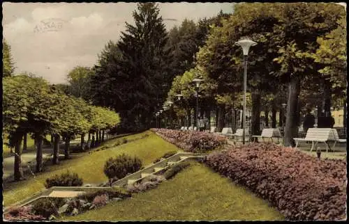 Ansichtskarte Bad Orb Spessart - Kurparkterrasse 1959