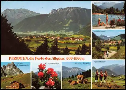 Pfronten Allgäu MB mit Alpenrosenblüte   Alpvieh Alphornbläser Schwimmbad 1969