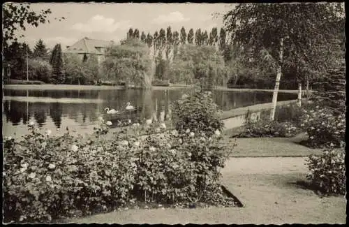 Ansichtskarte Uetersen Rosarium 1964