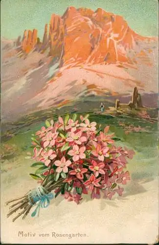 .Trentino-Südtirol Südtirol Motiv vom Rosengarten. Künstlerkarte 1908 Prägekarte