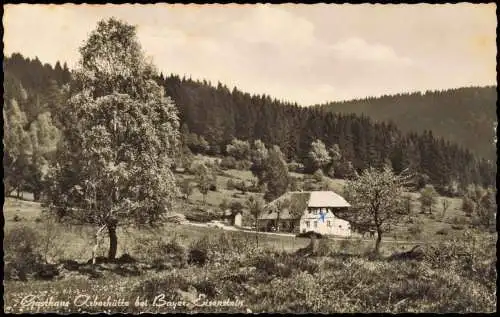 Ansichtskarte Bayerisch Eisenstein Gasthaus Arberhütte 1964