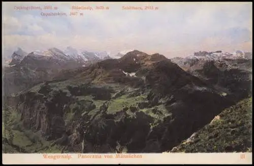 Ansichtskarte Lauterbrunnen Wengernalp. Panorama von Männlichen 1912