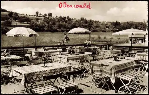 Winterkasten-Lindenfels (Bergstraße) Gasthaus u. Pension Traube Metzgerei 1960