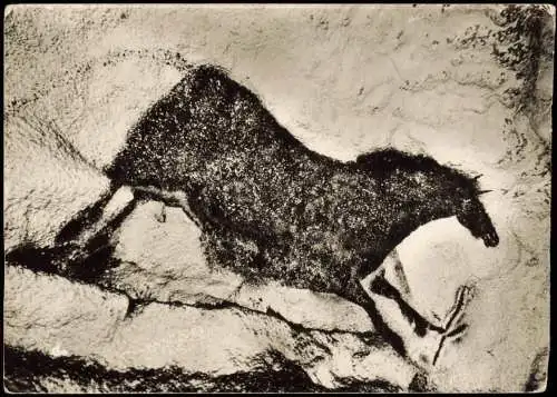 CPA Montignac Grotte de Lascaux 1963