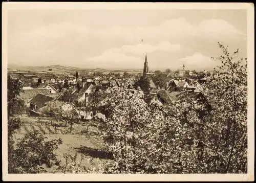 Ansichtskarte Bad Dürkheim Baumblüte - Blick auf die Stadt 1954