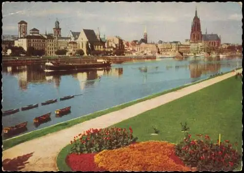 Ansichtskarte Frankfurt am Main Mainpartie, Schleppschiff 1954