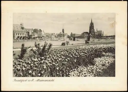 Ansichtskarte Frankfurt am Main Blick von der Blumenwiese zur Stadt 1956