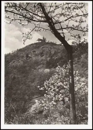 Salesel Dolní Zálezly Dubitzer Kirchlein bei Salesel an der Elbe 1970