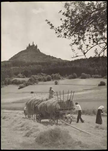 Ansichtskarte Hechingen Heuernte Burg Hohenzollern 1959