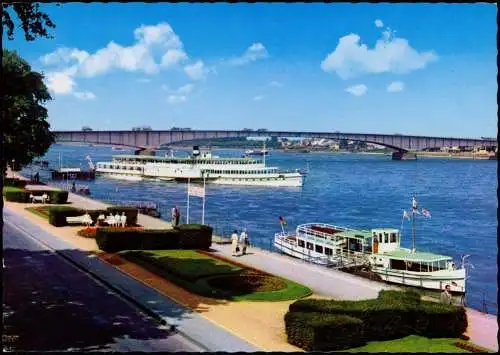 Ansichtskarte Bonn Rheinpartie Rheindampfer 1988