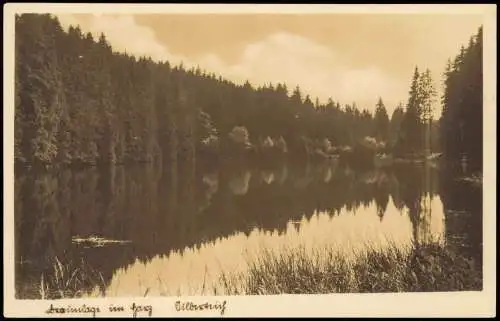 Ansichtskarte Braunlage Partie am Silberteich - Fotokarte 1941