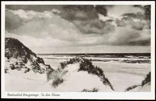 Ansichtskarte Wangerooge Meer / Strand Nordseebad In den Dünen 1956
