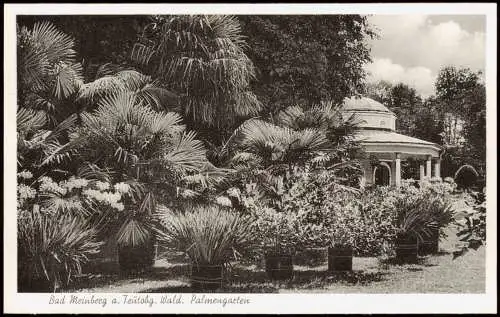Ansichtskarte Horn-Bad Meinberg Teutoburger Wald. Palmengarten 1953