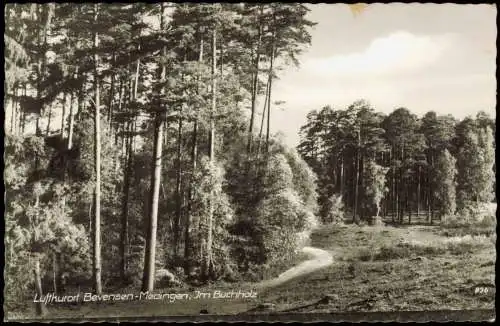 Ansichtskarte Bad Bevensen Medingen - Im Buchholz 1970