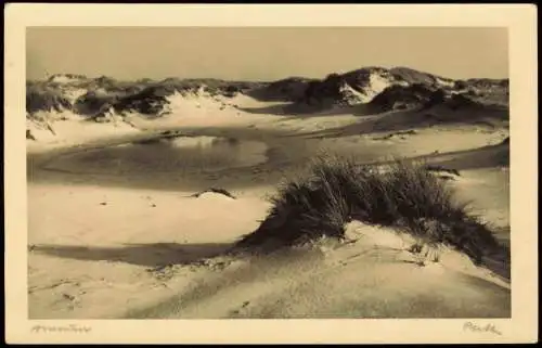 Ansichtskarte Insel Amrum In den Dünen - Fotokarte 1922  gel. Wittdün