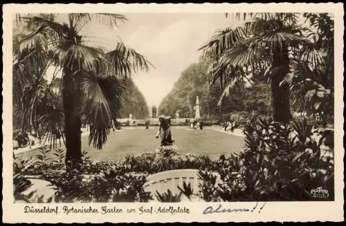 Ansichtskarte Düsseldorf Botanischer Garten am Graf-Adolfplatz 1956