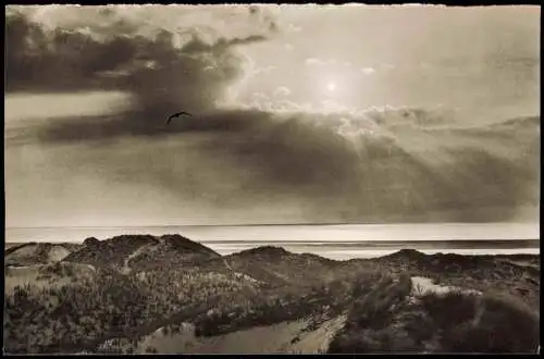 Ansichtskarte St. Peter-Ording In den Dünen - Stimmungsbild 1961
