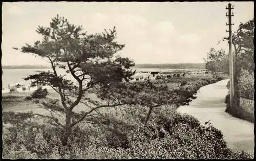 Ansichtskarte Timmendorfer Strand Strand und Promenade 1961