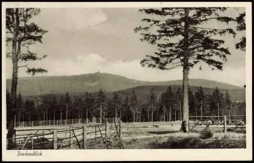 Ansichtskarte Ilsenburg (Harz) Brocken (Harz) - Gehege 1952
