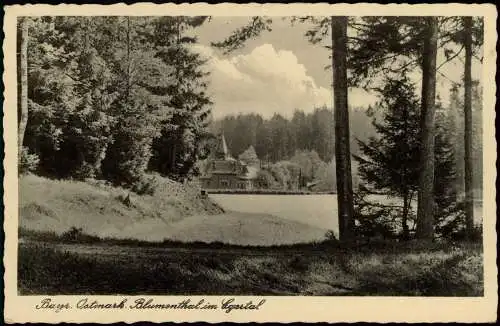 Ansichtskarte Selb (Bayern) Blumenthal im Egertal 1944