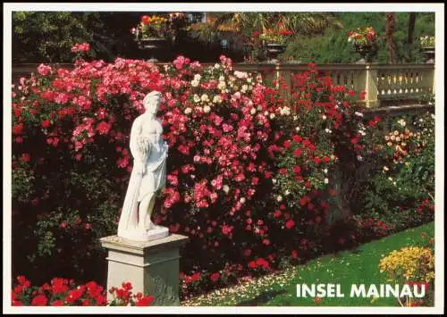 Ansichtskarte Insel Mainau-Konstanz Italienischer Rosengarten mit Statue 2000