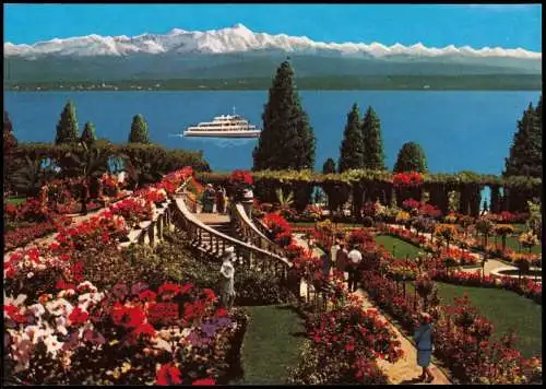 Ansichtskarte Insel Mainau-Konstanz Ortsansicht, Panorama, Rosengarten 1990