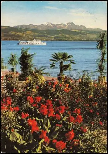 Insel Mainau-Konstanz Am Bodensee Ortsansicht (vermtl. von Mainau aus) 1979