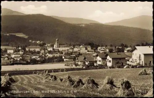 Ansichtskarte Lam (Oberpfalz) Panoramaansicht 1963