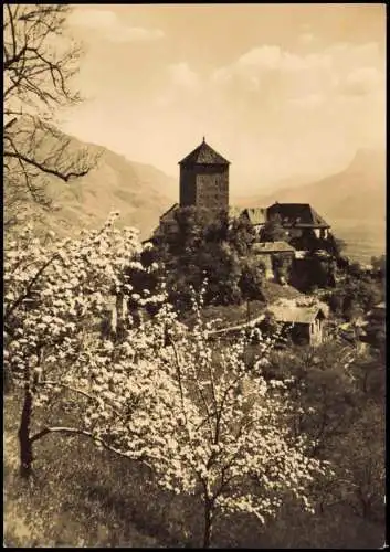 Cartoline Meran Merano Schloss Tirol Frohe Plingsten 1975