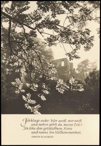 Ansichtskarte Oybin Burg und Klosterruine Stimmungsbild 1973