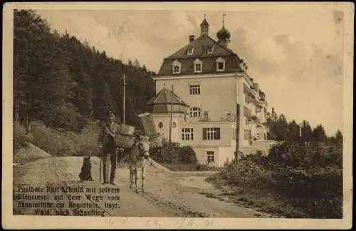 Ansichtskarte Schaufling Sanatorium am Hausstein 1915