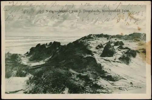 Ansichtskarte Juist Naturaufnahme von J. Dreesbach, Nordseebad Strand 1934