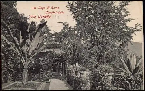 Cartoline Como Lago di Como Giardini della Villa Carlotta 1909