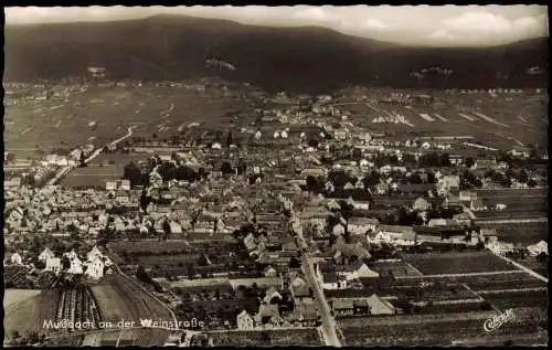 Mussbach Mußbach-Neustadt an der Weinstraße Neustadt an der Haardt Luftbild 1969