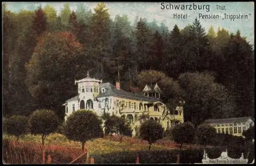 Ansichtskarte Schwarzburg Hotel Pension-Trippstein - Künstlerkarte 1913