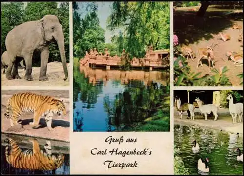 Stellingen-Hamburg Tierpark Hagenbeck in Stellingen MB mit Tieren 1971