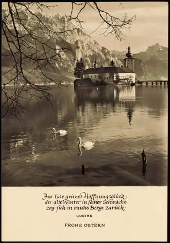 DDR Glückwunsch-Karte Ostern Stimmungsbild mit See Schwänen 1964