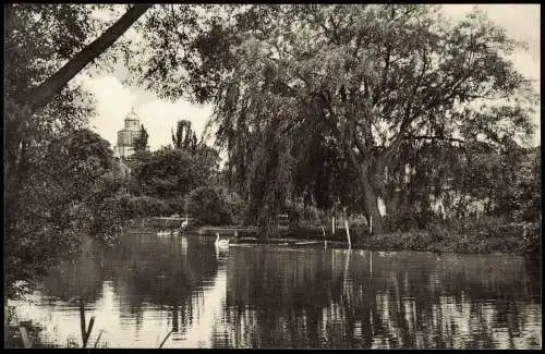 Ansichtskarte Neumünster Partie am Teich 1956