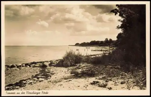 Ansichtskarte Flensburg Sommer an der Flensburger Förde 1954