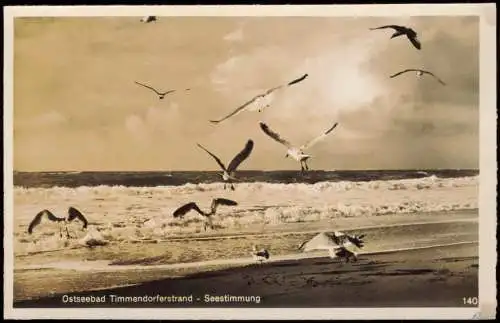 Ansichtskarte  Möwen am Strand Seestimmung 1956 Ostseebad Timmendorferstrand