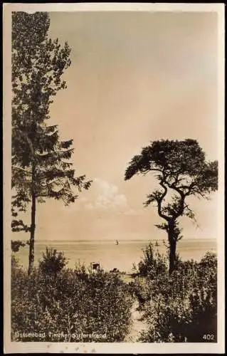 Ansichtskarte Timmendorfer Strand Strand Bäume 1955